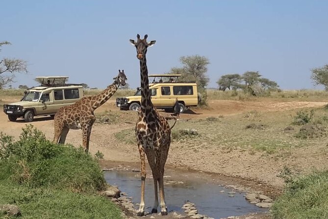 Private Multi day Safari tour in Tanzania - Ngorongoro Rim Walks: Maasai Guidance, Donkeys for Luggage, and Safety First
