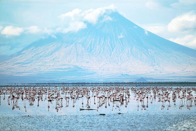 Private Multi day Safari tour in Tanzania - Tarangire National Park: Dry-Season Animal Density and Big Bird Moments