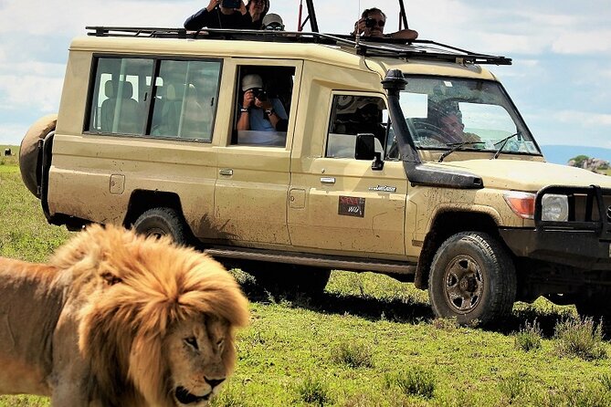 Private Multi Day Serengeti Safari - Key things that make this safari work