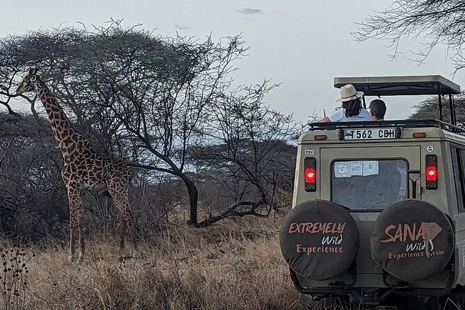 Private Multi Day Tour Tanzania Safari - Mto wa Mbu Walking and Arusha Finish: Real People, Real Tanzania