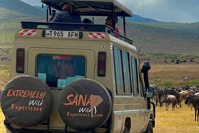 Private Multi Day Tour Tanzania Safari - The Guide Factor: Seif, Clear Explanations, and Animal-Spotting Focus