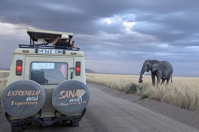 Private Multi Day Tour Tanzania Safari - Ngorongoro Crater in the Morning: Descent Time, Big-Five Odds