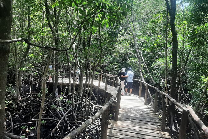 Private Spice Tour and Jozani Forest in Zanzibar - Key points before you go