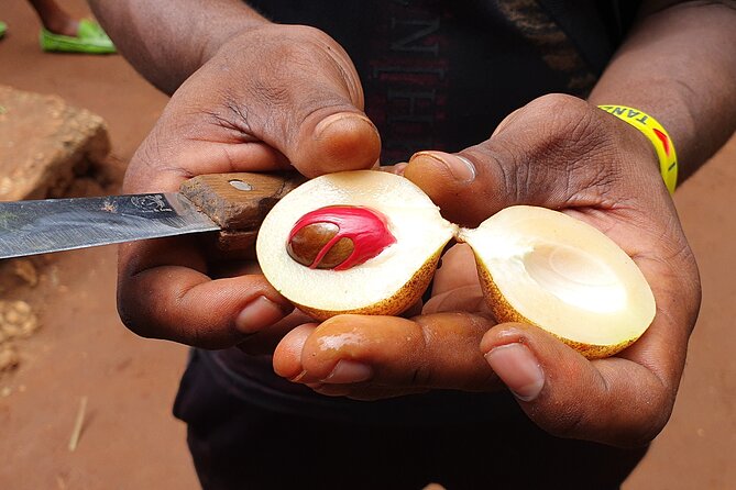 Private Spice Tour in Zanzibar with Pick Up - The coconut moment and monkeys in the forest, what to expect