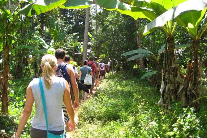 Private Stone Town Half Day Tour - Old Slave Market, Anglican Church, and the City Market you can feel