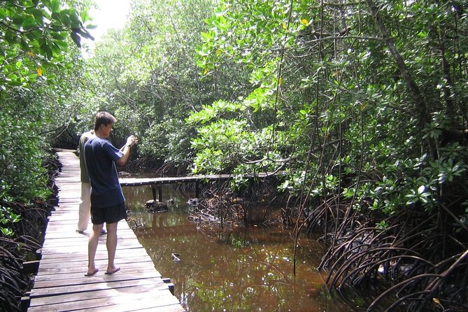 Private Stone Town & Spice Farm Tour - Jozani Chwaka Bay: Red Colobus Monkey Encounters and Mangroves