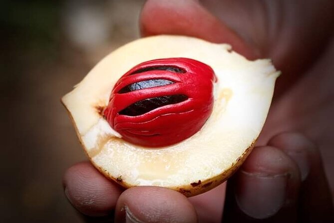 Private Stone Town & Spice Tour - Why Stone Town and a Spice Farm belong together