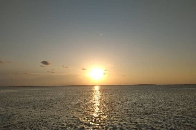 Private Sunset Dhow Cruise in Stone Town Zanzibar - The dhow cruise route: what you’re likely to see from the water