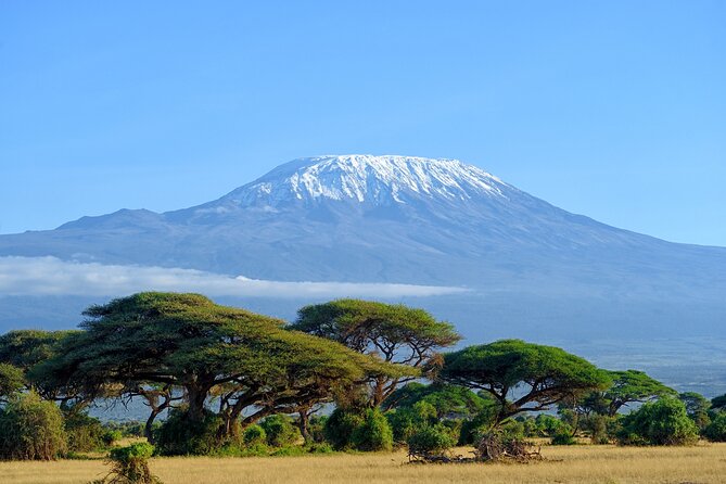 Private Tour to Marangu Waterfalls, Chagga Caves, Coffee tour & Hot Springs - Key highlights to look for