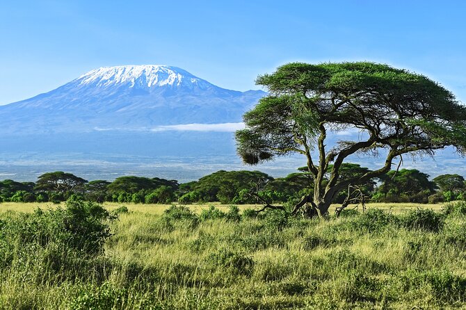 Private Tour to Marangu Waterfalls, Chagga Caves, Coffee tour & Hot Springs - A full Arusha day that feels like four adventures, not one