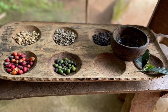 Private Tour to Marangu Waterfalls, Chagga Caves, Coffee tour & Hot Springs - Price and value: what $127 buys you for a 12-hour private day