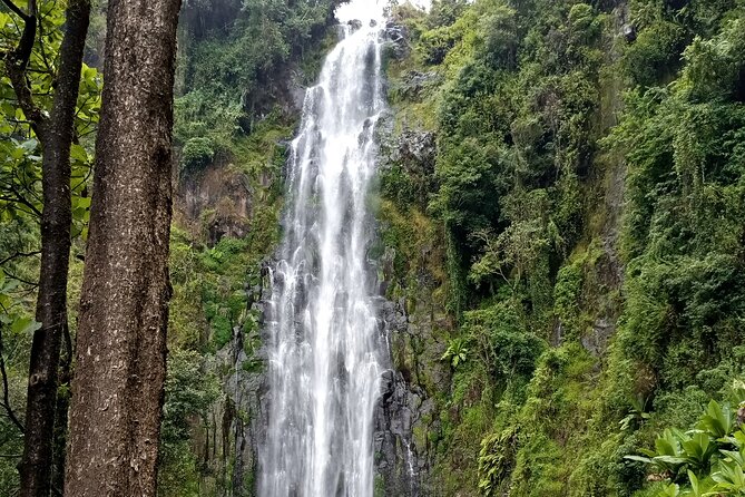 Private Tour to Materuni waterfalls, coffee tour & Kikuletwa hot- springs - Coffee Farm in Materuni: Roasting Your Own Beans and Brewing Local Coffee