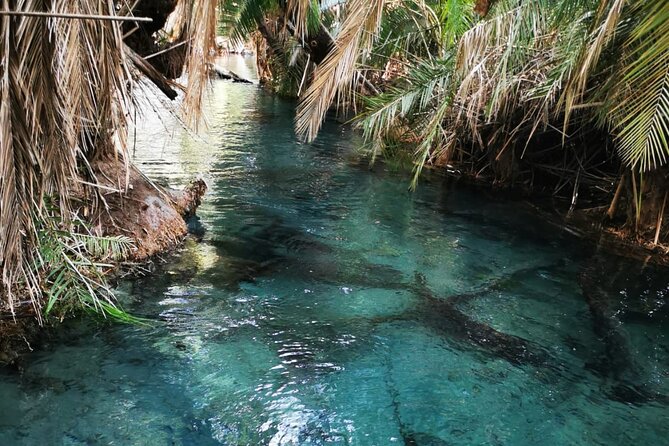 Private Tour to Materuni waterfalls, coffee tour & Kikuletwa hot- springs - Who should book this Materuni, coffee, and hot springs combo