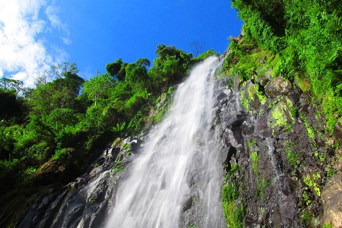 Private Tour to Materuni Waterfalls, coffee tour, Kikuletwa Hot Springs & Maasai - The coffee farm experience: from picking beans to pouring your own cup