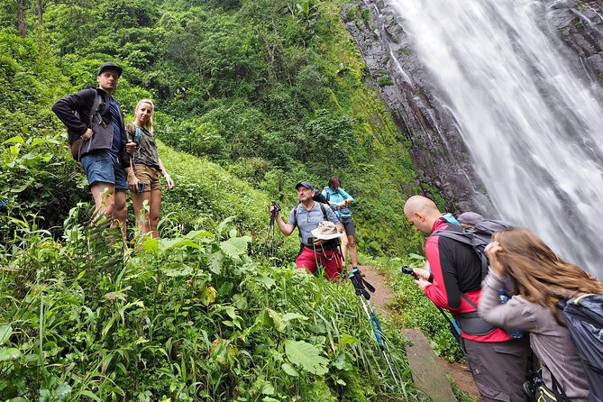 Private Tour to Materuni Waterfalls, coffee tour, Kikuletwa Hot Springs & Maasai - Transfers, tickets, lunch, and wine: what the $80 really covers