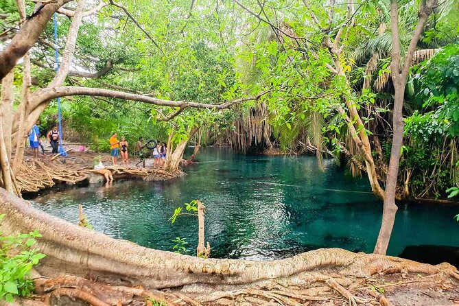 Private Tour to Materuni Waterfalls, coffee tour, Kikuletwa Hot Springs & Maasai - Materuni Waterfalls: stairs, Kilimanjaro views, and a real nature break