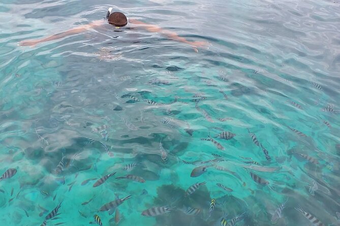 Private Tour to Mnemba Island with Lunch - Morning timing: 8:00am start and a 5 to 6 hour water day