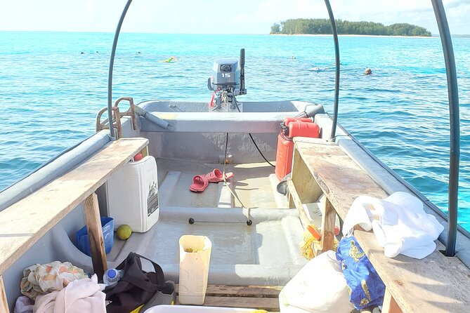 Private Tour to Mnemba Island with Lunch - Mnemba Island dolphins: life jacket demo, fast briefing, 85% odds