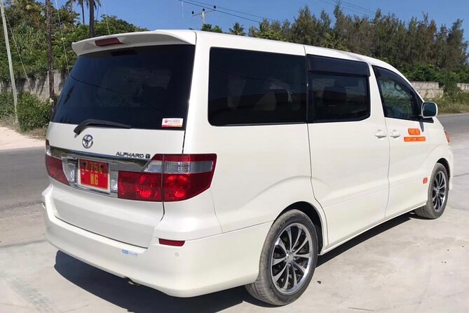 Private Transfer from Abeid Amani Karume Airport to Zanzibar - Booking and what to have ready (so the pickup goes smoothly)