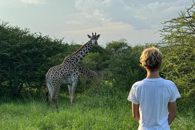 Private Walking Tour with Giraffes - What You’re Really Buying: A Private Walk With Purpose