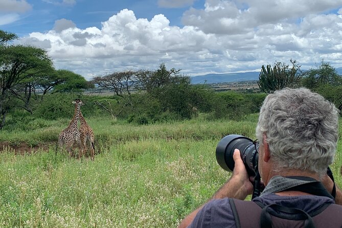 Private Walking Tour with Giraffes - The Walk Itself: Getting Close Without Cutting In