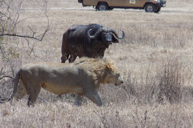 Private Wildlife Encounter at Tarangire National Park - The Tarangire River advantage, especially in the dry season