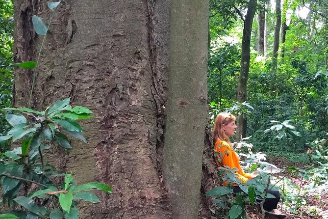 Rau Forest Bike tour - From Pickup to Plantation Roads Near Moshi