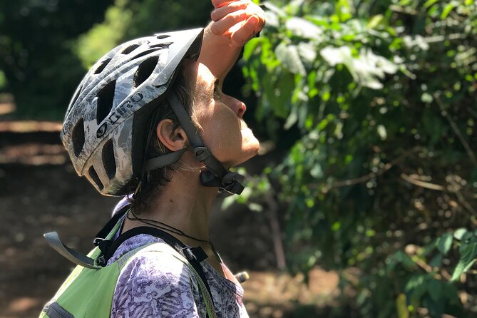 Rau Forest Bike tour - Sugar Cane, Schools, Mosques, Churches, and Real Village Life