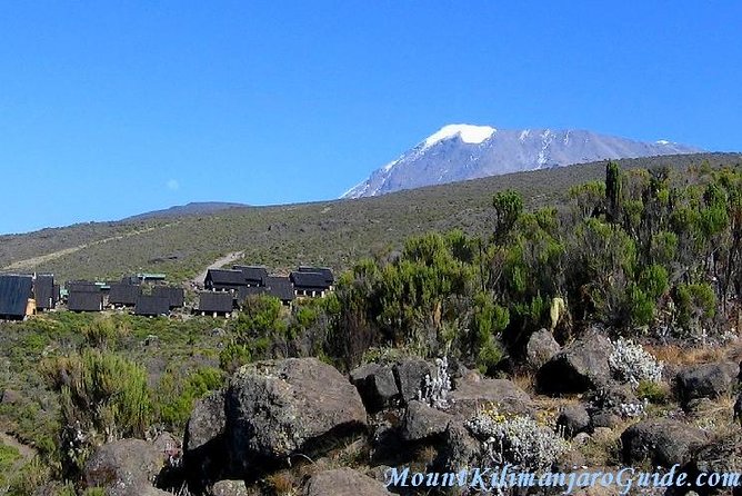 Rongai Route 6 Days 5 Nights/Kilimanjaro climb - Summit night on Day 5: 1am wake up, Gilman’s Point sunrise, then Uhuru Peak