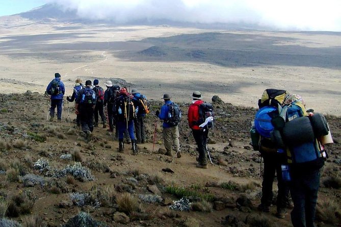 Rongai Route 6 Days 5 Nights/Kilimanjaro climb - Day 6 descent to Marangu Park gate at 1,700 m, then transfer to Moshi or Arusha