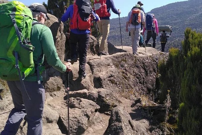 Rongai Route 7 Days - Day 2, Simba Camp to 2nd Cave Camp: moorland ascent with Kibo and eastern ice fields