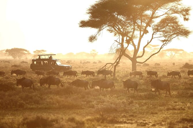 Saadani Day Trip - Getting there from Arusha Airport: timing, duration range, and what 10 hours at the park really means