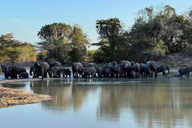 Saadani National Park Day Tour - Key highlights to know before you go