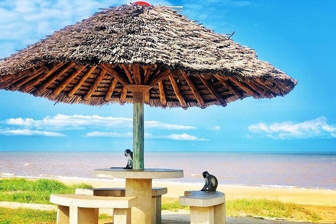 Saadani National Park Day Tour - Price and logistics: does $480 per person make sense?