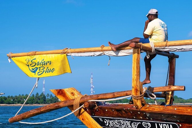 Safari Blue Private Full-Day Tour - Key highlights to know before you go