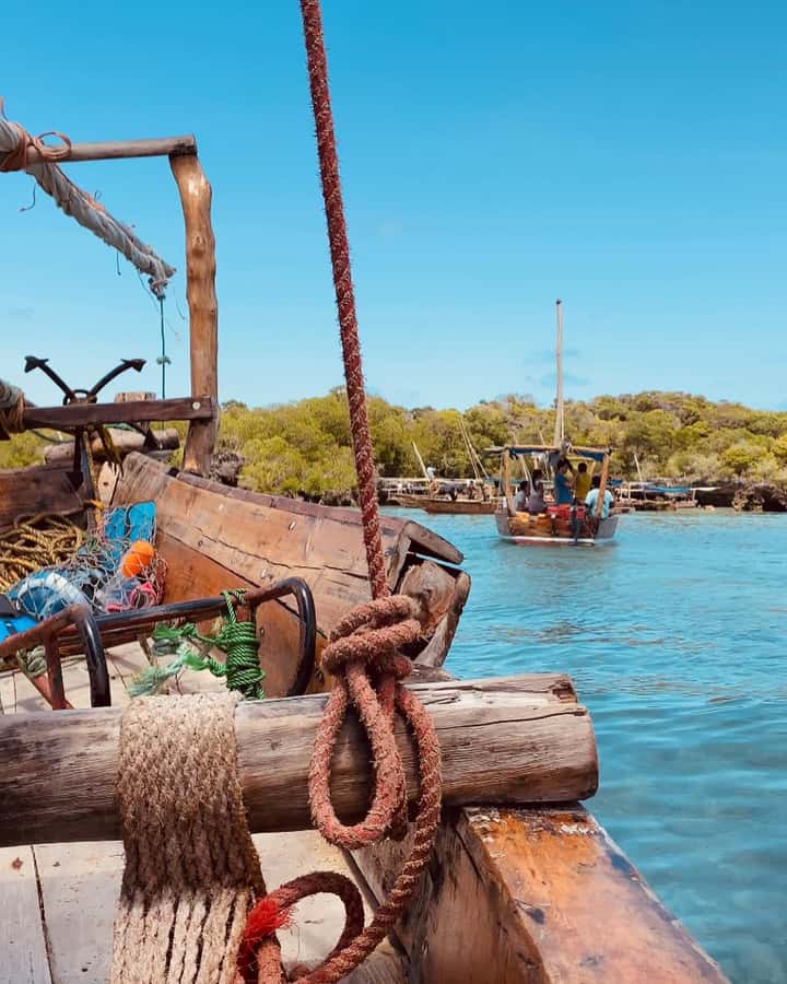 SAFARI BLUE ZANZIBAR : PRIVATE TRIP - Why this 7-hour Safari Blue Zanzibar trip is good value