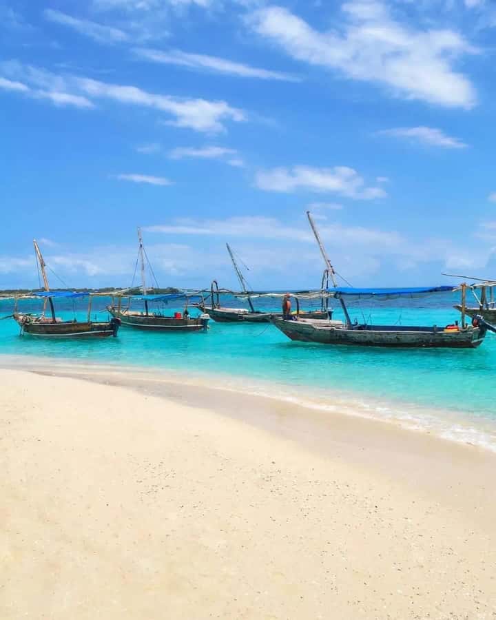 SAFARI BLUE ZANZIBAR : PRIVATE TRIP - Kwale Island swimming and snorkeling for one focused hour