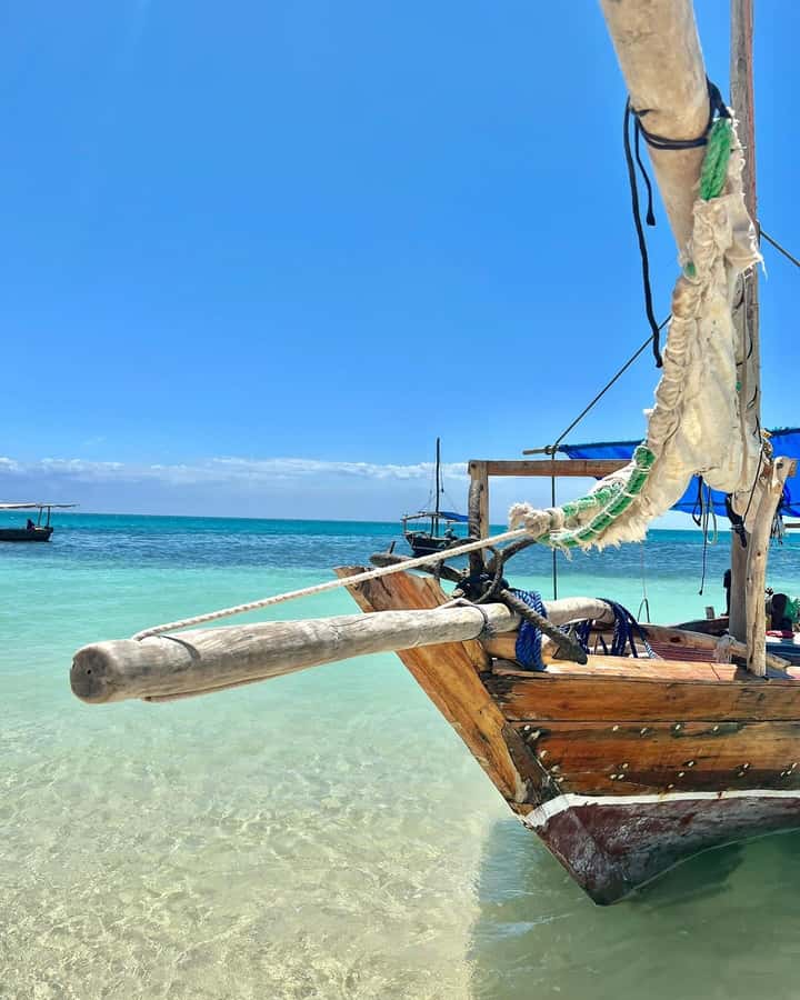 SAFARI BLUE ZANZIBAR : PRIVATE TRIP - Who this private trip suits best, and who should reconsider