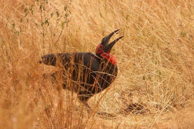 Safari & Culture - Back to Arusha: one last look and a little time for shopping
