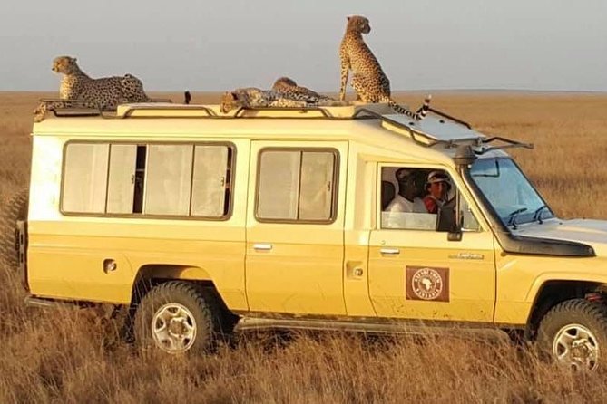 Safari in Tanzania 5 days: Manyara, Ngorongoro, Serengeti - Vehicle, guiding style, and what “private” changes for your safari