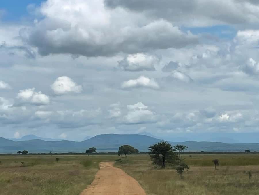 SAFARI WILDLIFE FROM ZANZIBAR TO MIKUMI 3 DAYS AND 2 NIGHTS - Should you book Zanzibar to Mikumi 3 days and 2 nights?