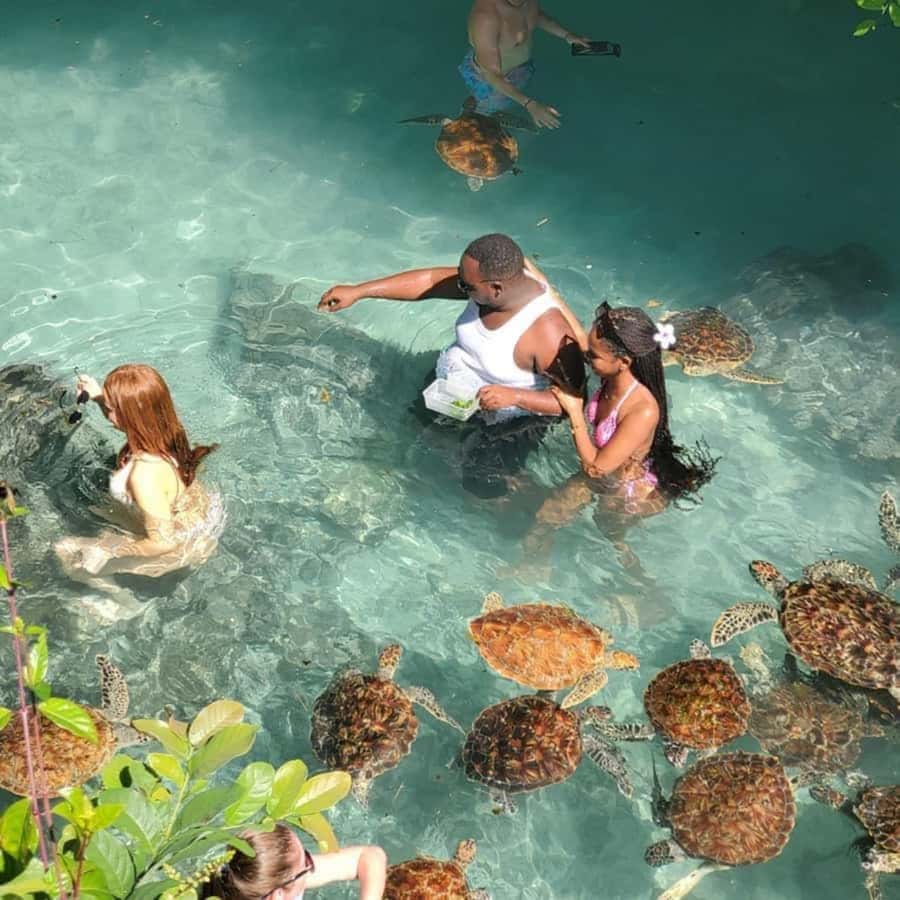 SALAAM CAVE: Swim with turtles & Dine at The Rock Restaurant - The van ride and the shift from nature to the coast