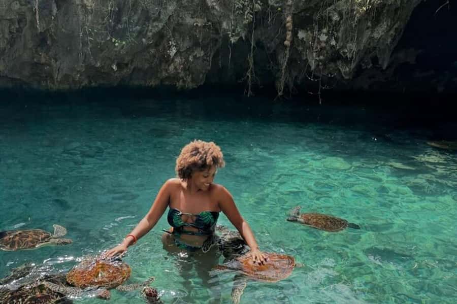 Salaam Cave Swimming & feeding Sea Turtles in Kizimkazi - The water level reality check: swimming is really wading