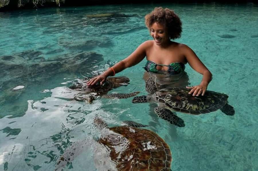 Salaam Cave Swimming & feeding Sea Turtles in Kizimkazi - What to bring, and a few practical tips that matter