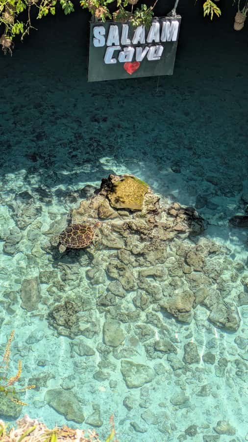 Salaam Cave Swimming with turtles, Mtende Beach & The Rock - Price and value: what $51 covers, and where you spend extra