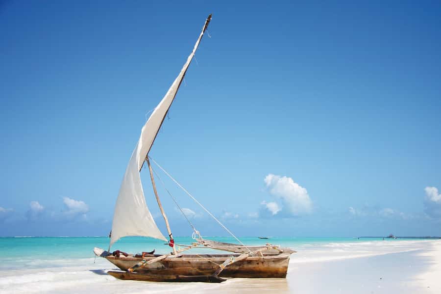Salaam Cave Tour, Lunch at The Rock, Mnemba Dolphin Tour - Key highlights to know before you go