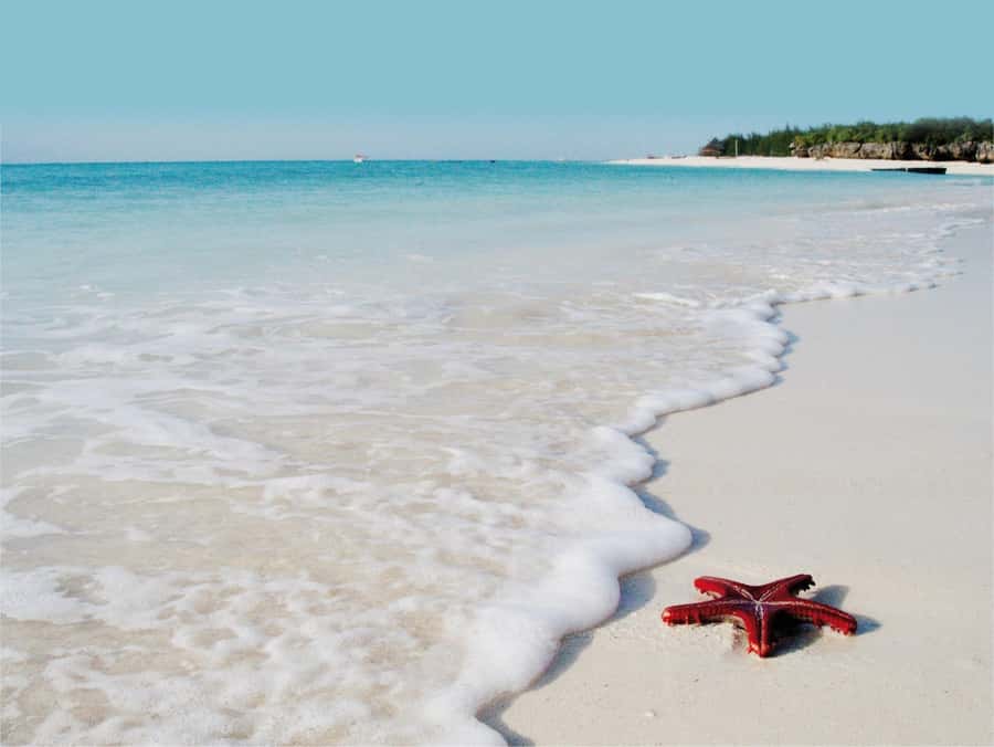 Salaam Cave Tour, Lunch at The Rock, Mnemba Dolphin Tour - Paje Beach and the Calm Start You’ll Feel Immediately