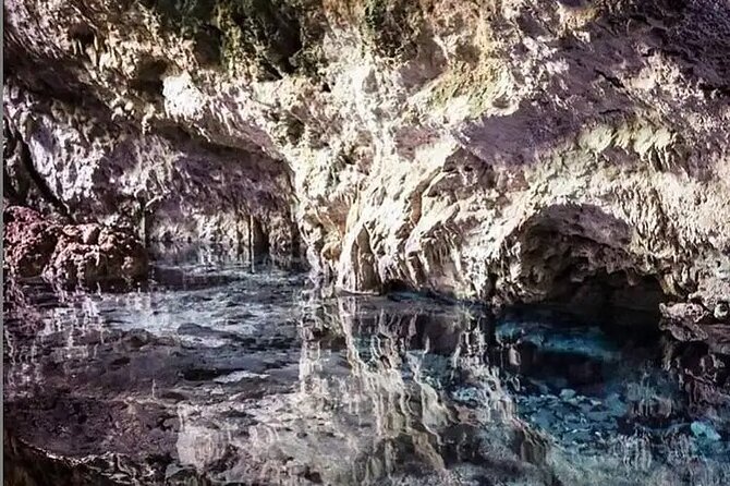 Salaam Cave Zanzibar (Turtles Santuary) - Price and value: is $100 per person worth it?