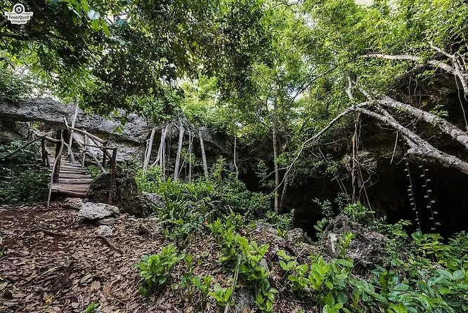Salaam Cave Zanzibar (Turtles Santuary) - Who should book this turtle sanctuary cave swim?