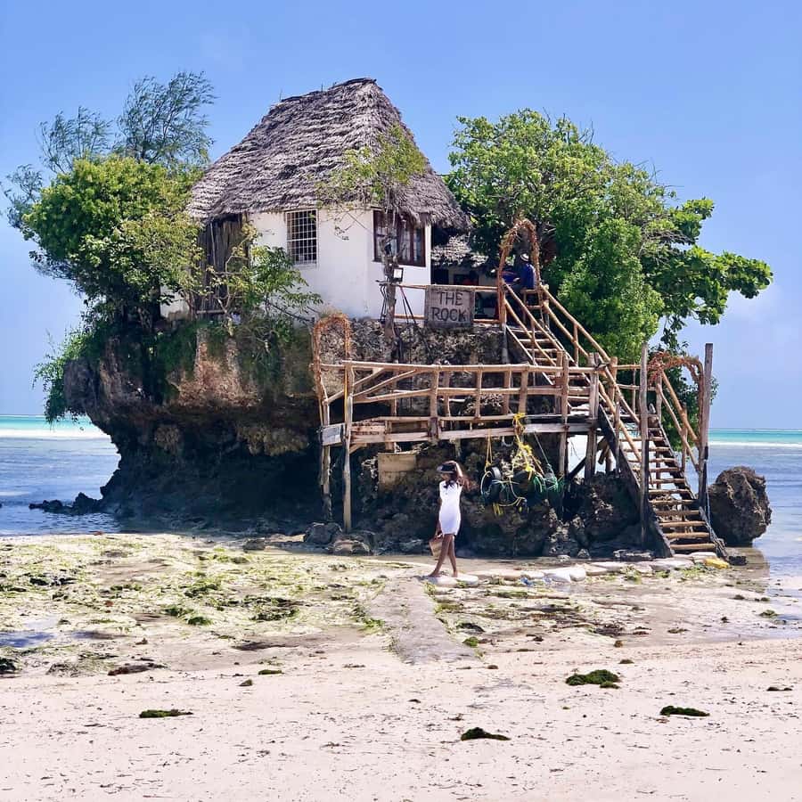 Salam cave turles swimming, paje beach , the Rock Restaurant - Key highlights you will actually care about
